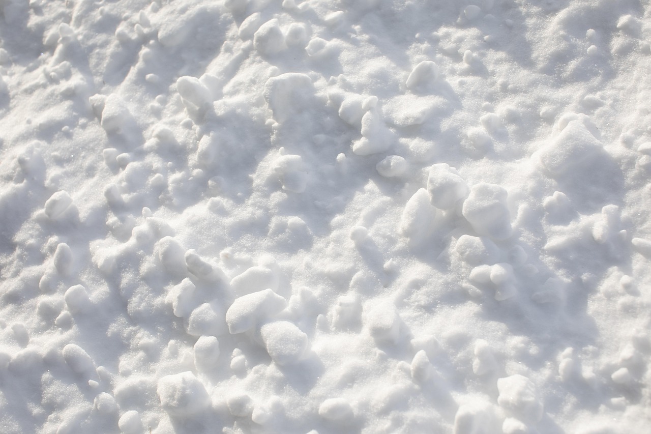 Herbst-Schneeball